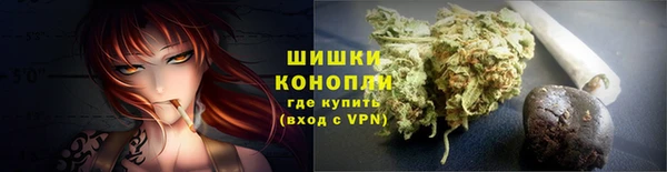 ECSTASY Кукмор