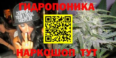 сатива Дубна