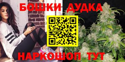 стаф Донской