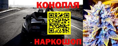 стаф Донской