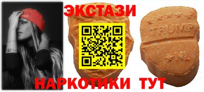 стаф Донской