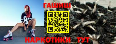 стаф Донской
