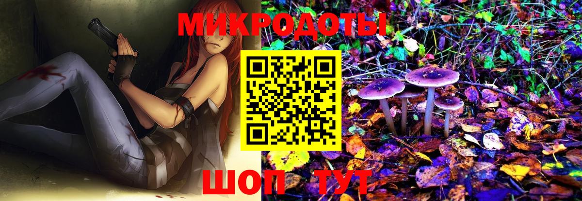 Копейск  Галлюциногенные грибы MAGIC MUSHROOMS  где продают наркотики  Вход с VPN 